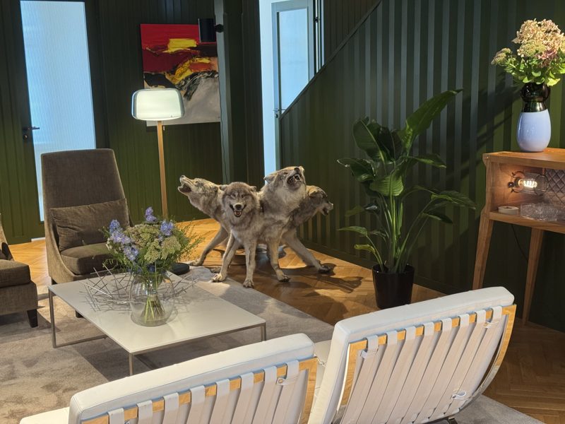 Loungen med ulvene midt i rommet, mellom lenestol, sofabord med blomster, plante og et rødt maleri på veggen